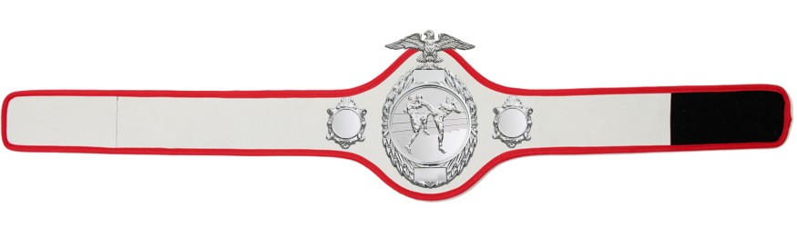 THAI BOXING CHAMPIONSHIP BELT - PRO288/S/TBOS - 10 COLOURS THAI BOXING CHAMPIONSHIP BELT - PRO288/S/TBOS - 10 COLOURS